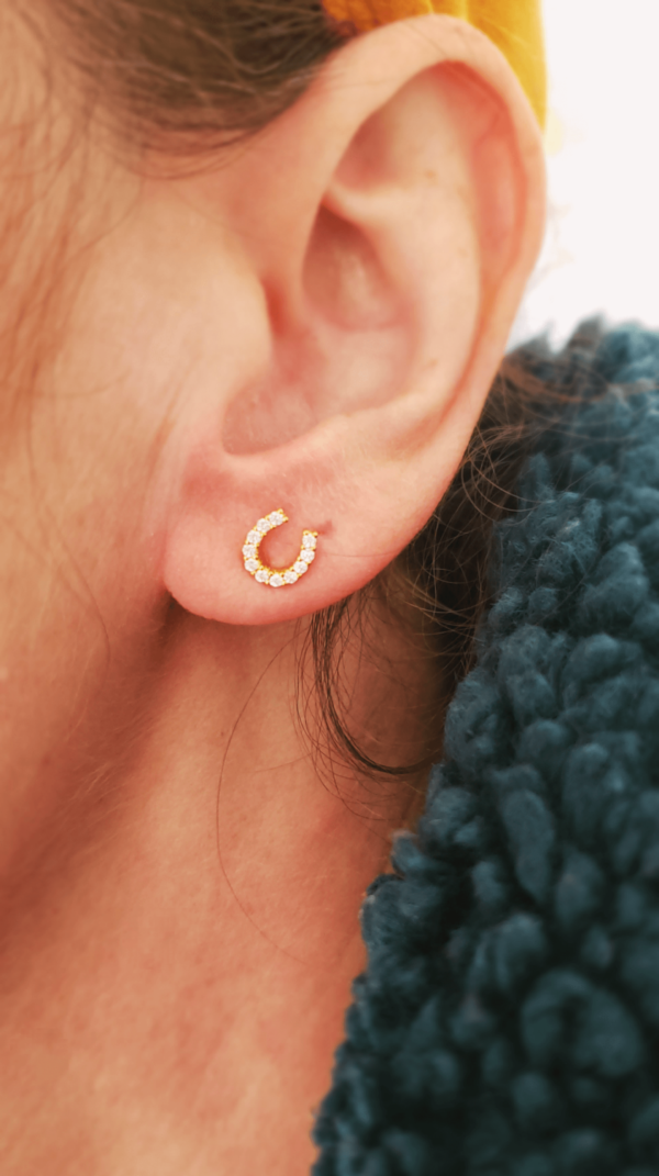 Tiny horseshoe earrings